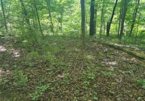 0 TR117-NR Woodside, Smithfield, 15478, ,Farm-acreage-lot,For Sale,TR117-NR Woodside,1764257