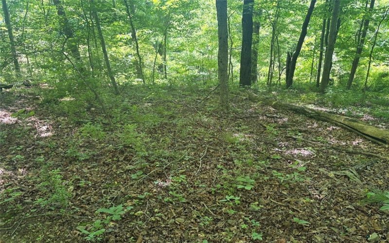 0 TR117-NR Woodside, Smithfield, 15478, ,Farm-acreage-lot,For Sale,TR117-NR Woodside,1764257