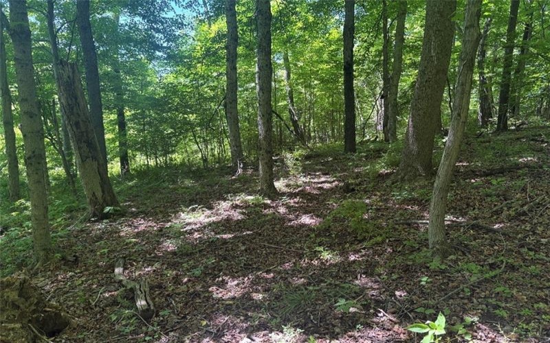 0 TR117-NR Woodside, Smithfield, 15478, ,Farm-acreage-lot,For Sale,TR117-NR Woodside,1764257