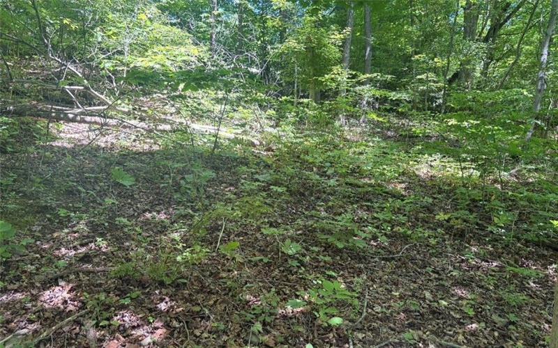 0 TR117-NR Woodside, Smithfield, 15478, ,Farm-acreage-lot,For Sale,TR117-NR Woodside,1764257