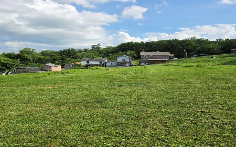 152 Fulton STREET, Washington, 15301, ,Farm-acreage-lot,For Sale,Fulton,1764689