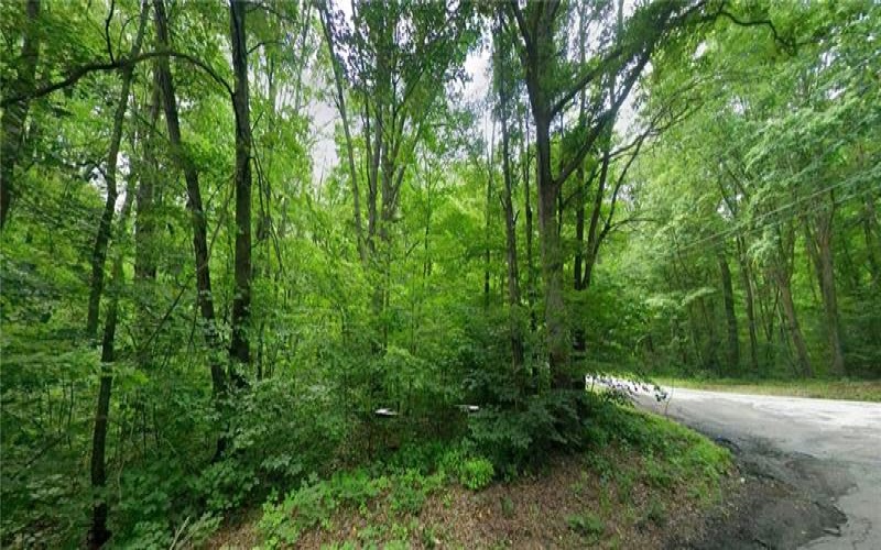 180 Hawkins Hollow Rd, Connellsville, 15425, ,Farm-acreage-lot,For Sale,Hawkins Hollow Rd,1764716
