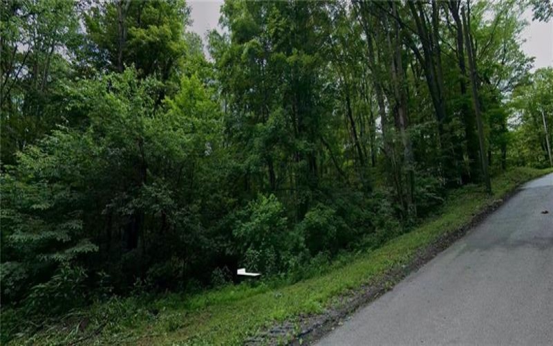 180 Hawkins Hollow Rd, Connellsville, 15425, ,Farm-acreage-lot,For Sale,Hawkins Hollow Rd,1764716