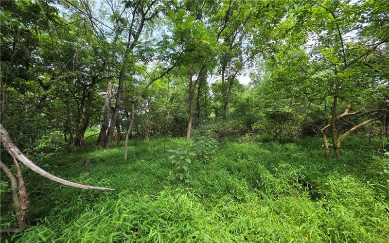 9A1A Farmington Pl, Greensburg, 15601, ,Farm-acreage-lot,For Sale,Farmington Pl,1766647