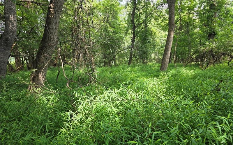 9A1A Farmington Pl, Greensburg, 15601, ,Farm-acreage-lot,For Sale,Farmington Pl,1766647
