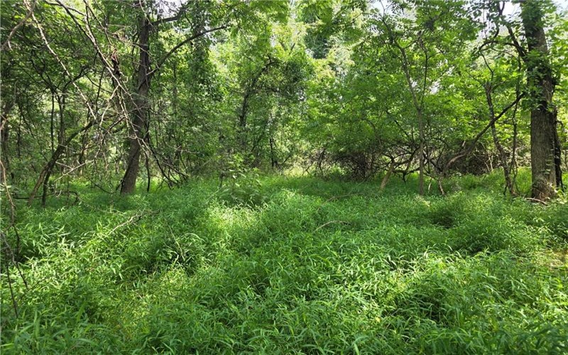 9A1A Farmington Pl, Greensburg, 15601, ,Farm-acreage-lot,For Sale,Farmington Pl,1766647