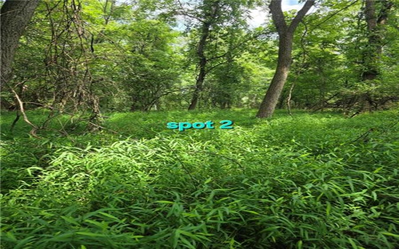 9A1A Farmington Pl, Greensburg, 15601, ,Farm-acreage-lot,For Sale,Farmington Pl,1766647