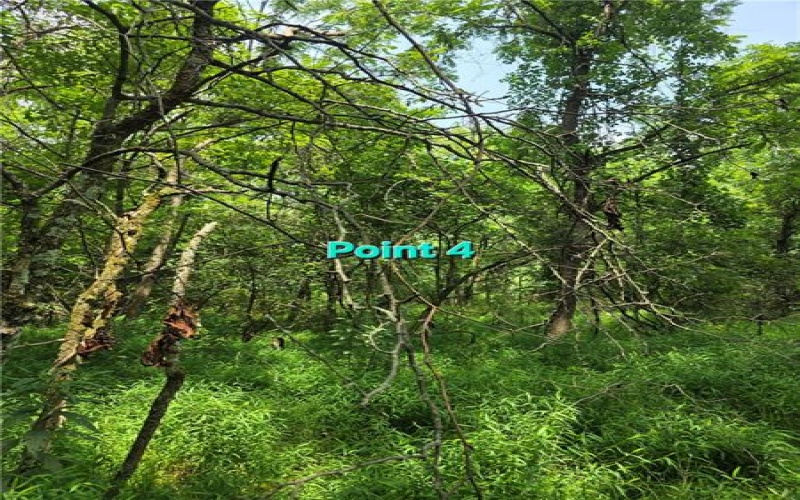 9A1A Farmington Pl, Greensburg, 15601, ,Farm-acreage-lot,For Sale,Farmington Pl,1766647