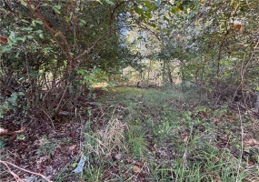 0 Water St, Brownsville, 15417, ,Farm-acreage-lot,For Sale,Water St,1765131 0 Water St, Brownsville, 15417, ,Farm-acreage-lot,For Sale,Water St,1765131