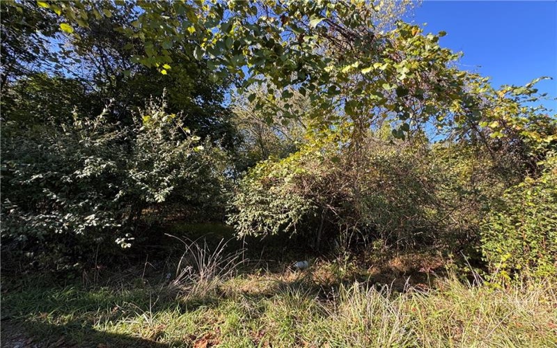 0 Water St, Brownsville, 15417, ,Farm-acreage-lot,For Sale,Water St,1765131