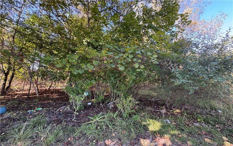 0 Water St, Brownsville, 15417, ,Farm-acreage-lot,For Sale,Water St,1765131