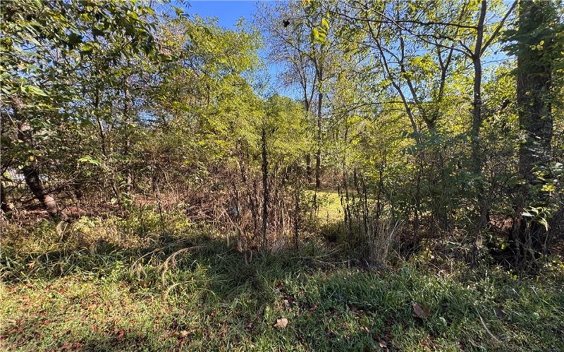 0 Water St, Brownsville, 15417, ,Farm-acreage-lot,For Sale,Water St,1765131
