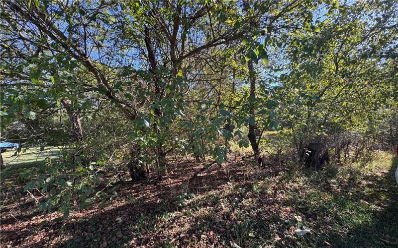0 Water St, Brownsville, 15417, ,Farm-acreage-lot,For Sale,Water St,1765131