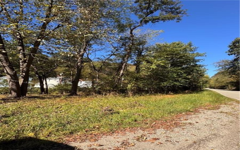 0 Water St, Brownsville, 15417, ,Farm-acreage-lot,For Sale,Water St,1765131