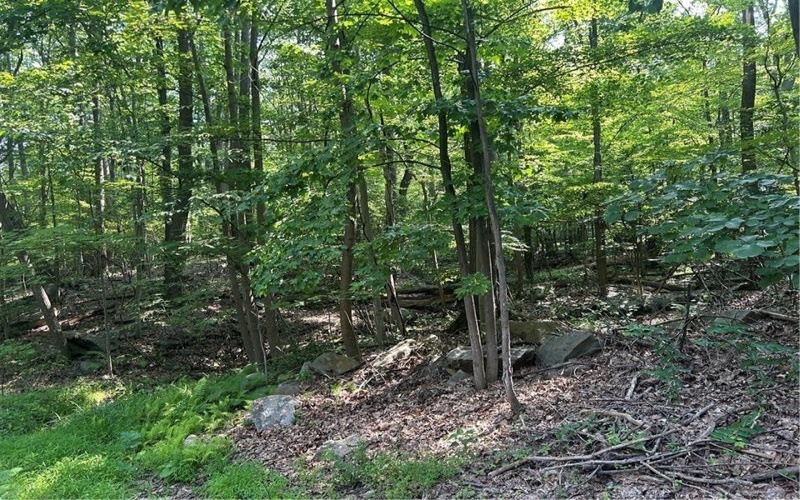 LOT 934 Ski Slope RD, Acme, 15610, ,Farm-acreage-lot,For Sale,Ski Slope RD,1766736