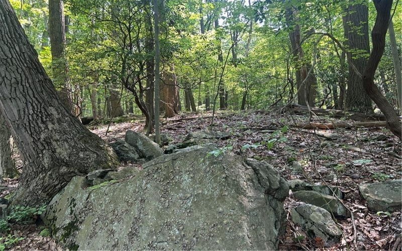 LOT 934 Ski Slope RD, Acme, 15610, ,Farm-acreage-lot,For Sale,Ski Slope RD,1766736
