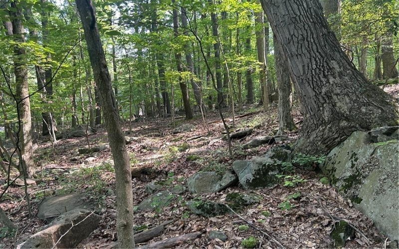 LOT 934 Ski Slope RD, Acme, 15610, ,Farm-acreage-lot,For Sale,Ski Slope RD,1766736