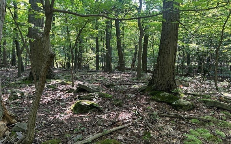 LOT 934 Ski Slope RD, Acme, 15610, ,Farm-acreage-lot,For Sale,Ski Slope RD,1766736