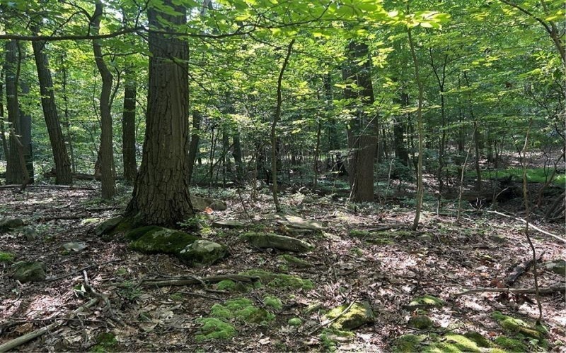 LOT 934 Ski Slope RD, Acme, 15610, ,Farm-acreage-lot,For Sale,Ski Slope RD,1766736