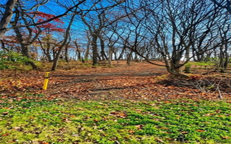 0 Weavertown Road, Canonsburg, 15317, ,Farm-acreage-lot,For Sale,Weavertown Road,1765291