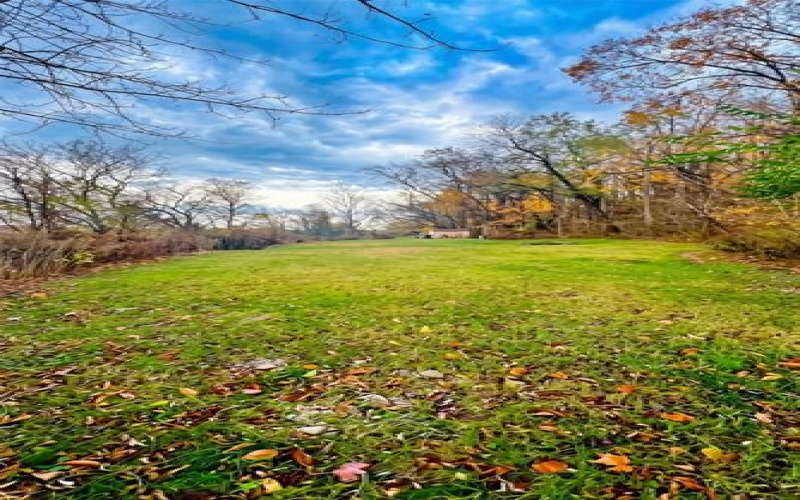 0 Weavertown Road, Canonsburg, 15317, ,Farm-acreage-lot,For Sale,Weavertown Road,1765291