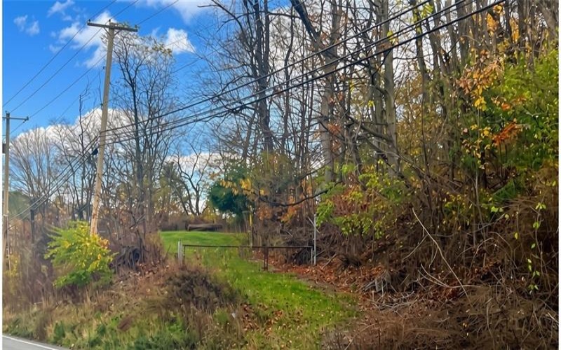 0 Weavertown Road, Canonsburg, 15317, ,Farm-acreage-lot,For Sale,Weavertown Road,1765291