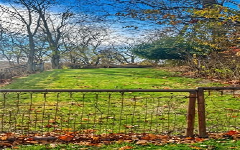 0 Weavertown Road, Canonsburg, 15317, ,Farm-acreage-lot,For Sale,Weavertown Road,1765291