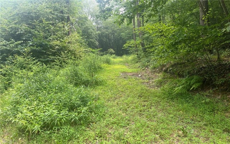Lot 10 Off Camp Run Rd, Donegal, 15628, ,Farm-acreage-lot,For Sale,Off Camp Run Rd,1765301