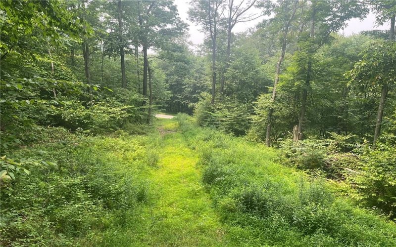 Lot 10 Off Camp Run Rd, Donegal, 15628, ,Farm-acreage-lot,For Sale,Off Camp Run Rd,1765301