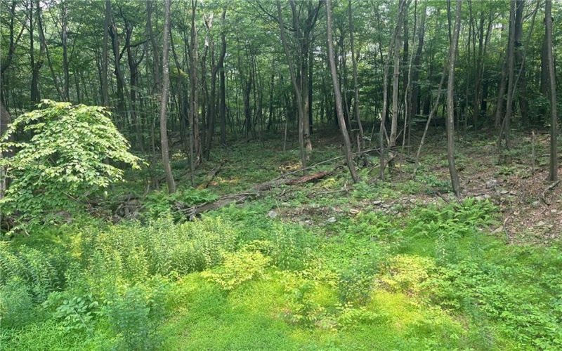 Lot 10 Off Camp Run Rd, Donegal, 15628, ,Farm-acreage-lot,For Sale,Off Camp Run Rd,1765301