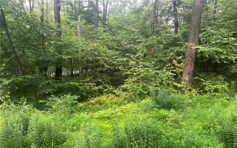 Lot 10 Off Camp Run Rd, Donegal, 15628, ,Farm-acreage-lot,For Sale,Off Camp Run Rd,1765301