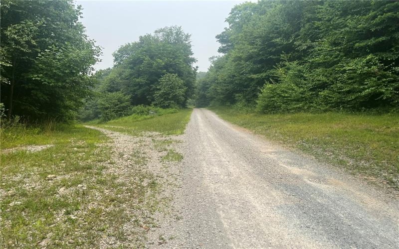 Lot 10 Off Camp Run Rd, Donegal, 15628, ,Farm-acreage-lot,For Sale,Off Camp Run Rd,1765301