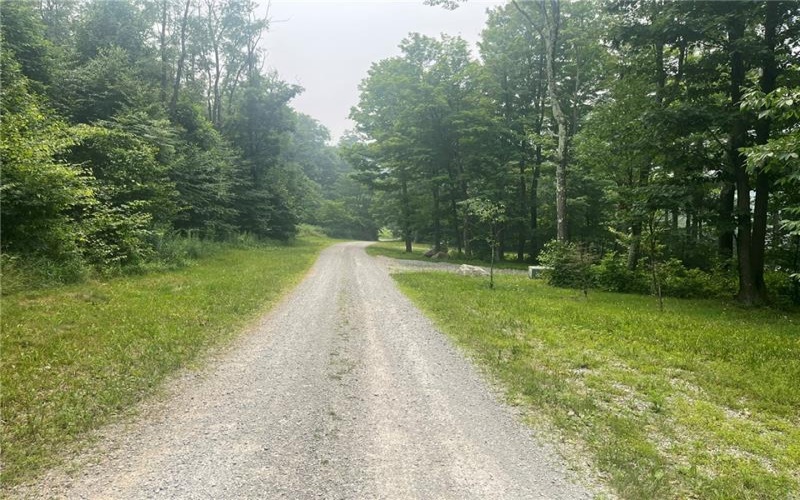 Lot 10 Off Camp Run Rd, Donegal, 15628, ,Farm-acreage-lot,For Sale,Off Camp Run Rd,1765301