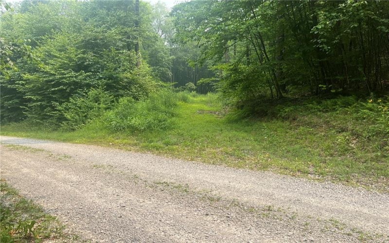 Lot 10 Off Camp Run Rd, Donegal, 15628, ,Farm-acreage-lot,For Sale,Off Camp Run Rd,1765301