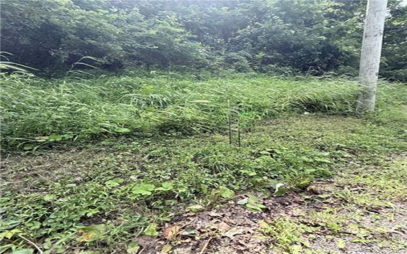 Lot #4 Waltz Dr W, Ruffs Dale, 15679, ,Farm-acreage-lot,For Sale,Waltz Dr W,1766876