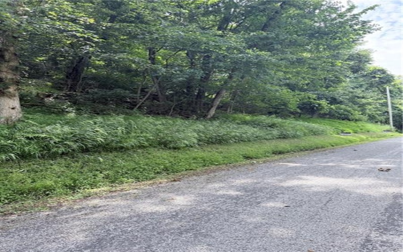 Lot #4 Waltz Dr W, Ruffs Dale, 15679, ,Farm-acreage-lot,For Sale,Waltz Dr W,1766876