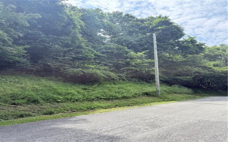 Lot #4 Waltz Dr W, Ruffs Dale, 15679, ,Farm-acreage-lot,For Sale,Waltz Dr W,1766876