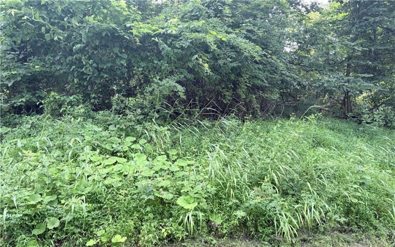 Lot #4 Waltz Dr W, Ruffs Dale, 15679, ,Farm-acreage-lot,For Sale,Waltz Dr W,1766876