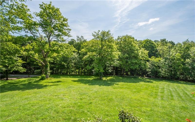 185 Dutch Glory Road, Amity, 15311, 2 Bedrooms Bedrooms, ,3 BathroomsBathrooms,Farm-acreage-lot,For Sale,yes, 9 of them plus a house,Dutch Glory Road,1765398