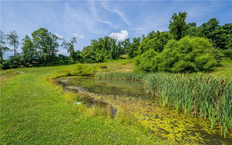185 Dutch Glory Road, Amity, 15311, 2 Bedrooms Bedrooms, ,3 BathroomsBathrooms,Farm-acreage-lot,For Sale,yes, 9 of them plus a house,Dutch Glory Road,1765398
