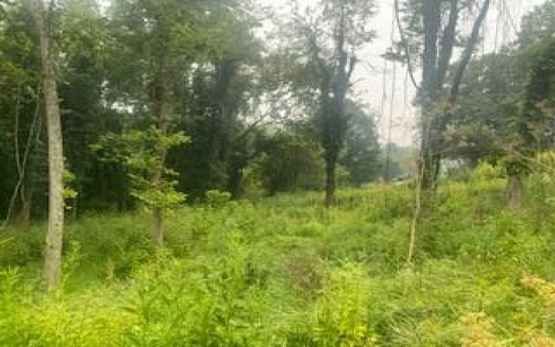 000 Pawnee, Belle vernon, 15012, ,Farm-acreage-lot,For Sale,Pawnee,1765432