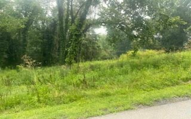 000 Pawnee, Belle vernon, 15012, ,Farm-acreage-lot,For Sale,Pawnee,1765432
