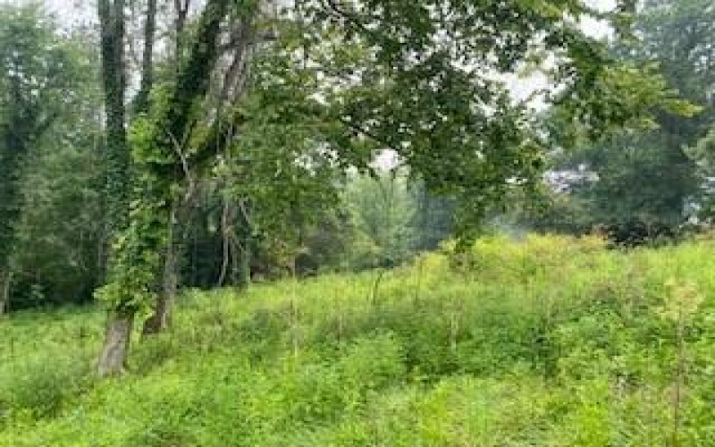 000 Pawnee, Belle vernon, 15012, ,Farm-acreage-lot,For Sale,Pawnee,1765432