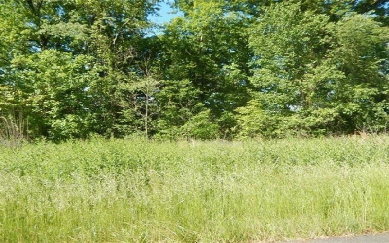 Lot 58 Sawmill Road, Greensburg, 15601, ,Farm-acreage-lot,For Sale,None,Sawmill Road,1765538