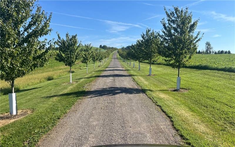 1504 Smith Twp St Rd, burgettstown, 15021, ,Commercial-industrial-business,For Sale,Smith Twp St Rd,1767012