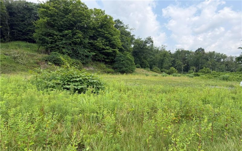 00 Sr 56, Leechburg, 15656, ,Commercial-industrial-business,For Sale,Sr 56,1767023