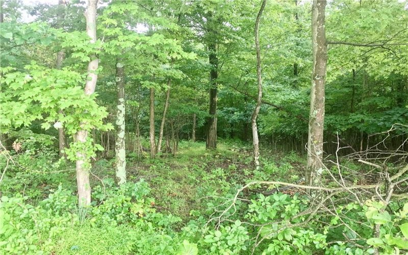 0 Palko Road, Saltsburg, 15681, ,Farm-acreage-lot,For Sale,Palko Road,1765618