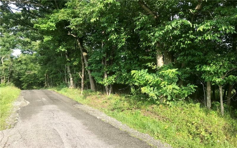 0 Palko Road, Saltsburg, 15681, ,Farm-acreage-lot,For Sale,Palko Road,1765618