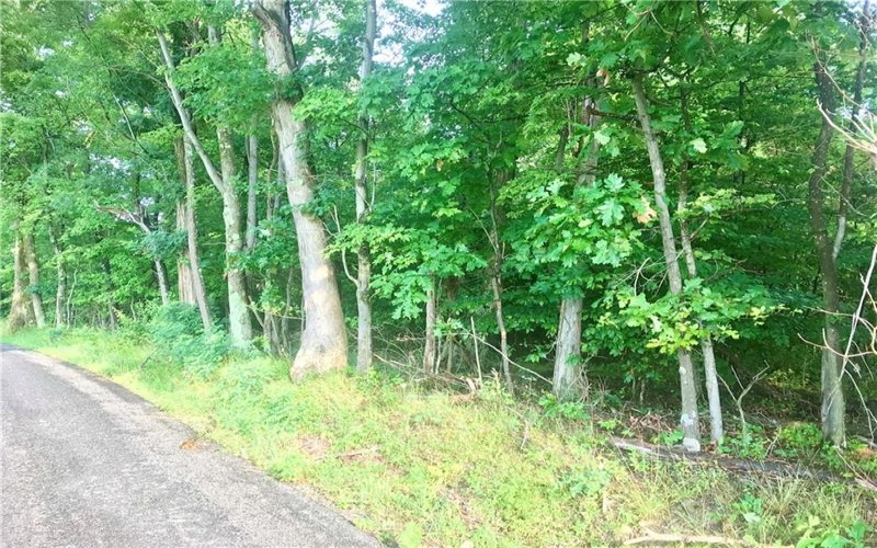 0 Palko Road, Saltsburg, 15681, ,Farm-acreage-lot,For Sale,Palko Road,1765618