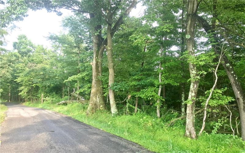 0 Palko Road, Saltsburg, 15681, ,Farm-acreage-lot,For Sale,Palko Road,1765618